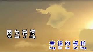 莫文蔚 Karen Mok 因为爱情 yin wei ai qing [upl. by Naltiac]