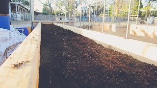 The BEST Soil Combination for RAISED GARDEN BEDS [upl. by Nnaytsirk]