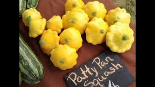 💥 Roasted Patty Pan Squash amp Zippy Butter Beans 💥 [upl. by Three]