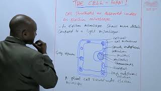 Cell Structures as Observed under Electron Microscope [upl. by Arahc]