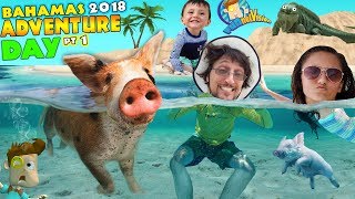 SWIMMING with PIGS in BAHAMAS  IGUANA ISLAND FUNnel Family Exuma Tour Adventure Day 1 [upl. by Dalpe636]