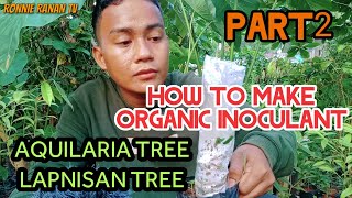 How To Make Organic Inoculant For AgarwoodAquilaria TreeLapnisan Tree [upl. by Mortie]