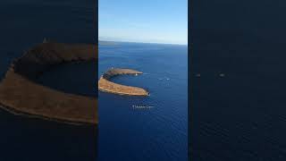 Molokini Crater Maui helicoptertours [upl. by Jehiel929]