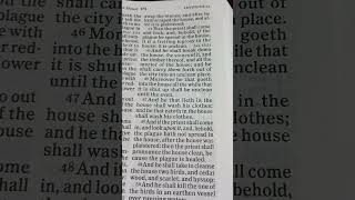 Bible Reading Leviticus Chapter 14 Verse 4648 bibleverse biblereading bible [upl. by Mcilroy]