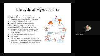 Life cycle of Myxobacteria [upl. by Cotter741]