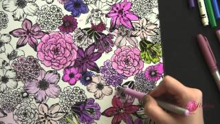 Copic Spectrum Noir Bic and Stazon Marker Comparison Cute Frame Tutorial [upl. by Camden]