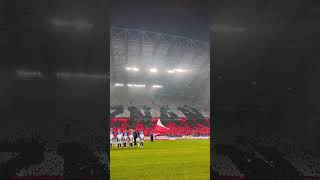 Lech Legia dużo się dzieje oprawa widowiskowa ♥️ [upl. by Charyl]