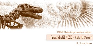 AULA 10 Parte 1 Fossildiagênese [upl. by Evans]