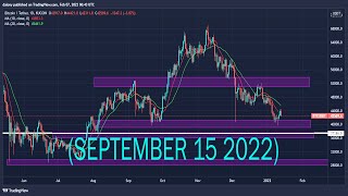 CADPY CHFJPY amp NZDJPY  Daily Forex Market Analysis  F0RECAST [upl. by Amluz]