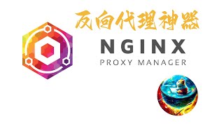 带界面的反向代理神器Nginx Proxy Manager，自带一键申请SSL证书 [upl. by Airaet60]