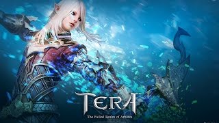 TERA  End Game quotPVEquot Archer Guide [upl. by Tann]