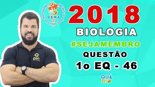 UERJ 2018  1o EQ  Questão 46  Em células eucariotas a cromatina pode se apresentar como eucromati [upl. by Arej]