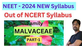 Malvaceae Family  Neet 2024 New Syllabus Out of ncert syllabus [upl. by Nednyl]