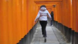 Memoirs of a Geisha Torii Run [upl. by Abbottson]