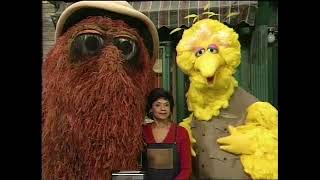 Sesame Street 3879 Big Bird and Snuffy Explore Things that are Alive 2000 [upl. by Layney]