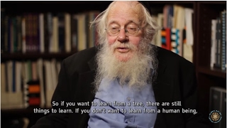 Lessons from a tree with Rabbi Steinsaltz [upl. by Fasto]