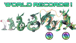 All 1008 Pokémon Mega Evolution TCG  Drawing WORLD RECORDS 2023  Max S [upl. by Gem]