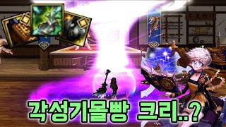 던파시거크리의 뒤를 이을 희망 각성기몰빵 크리 [upl. by Edge26]