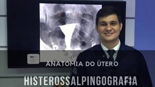 Anatomia do Útero  Histerossalpingografia  Radiologia Prática [upl. by Anival951]