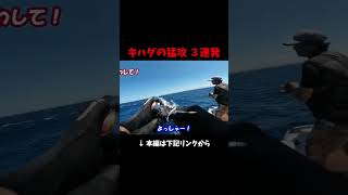 【キハダジギング】良型キハダマグロ3連続ヒット mcworks キハダ fishing [upl. by Uyr]