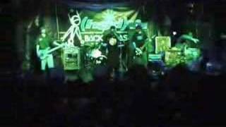 Hed PE  Represent Live [upl. by Ahsratan]