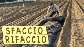 NUOVO impianto di FRAGOLE [upl. by Vitkun]