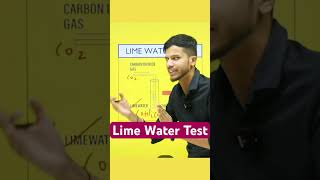 Lime Water Test🔥Carbon dioxide Lime water Test ✅Acid Bases and Salts acidbasesclass10shorts [upl. by Culbertson]