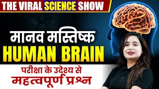 Human Brain important questions  मानव मस्तिष्क महत्वपूर्ण प्रश्न  Biology Science By Shilpi Mishra [upl. by Rosamund]