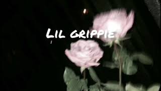 Lil Grippie  PRO TEBE lyrics [upl. by Yvehc]