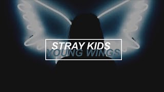 Stray Kids  Young Wings Subtitulada en español OT9 [upl. by Diandre922]