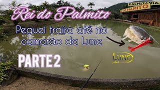 Esse é o MELHOR LUGAR que já pesquei TRAÍRA Parte 2  Rei do Palmito em Garuva  SC [upl. by Turro]