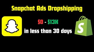 0 to 13000 Per Month  Snapchat Ads Dropshipping Case Study [upl. by Aronos]