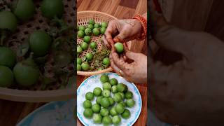 राजस्थानी भरवा गुंदे लेसवा की स्वादिस्ट अचारी सब्जी  Rajasthani Bharwa Gunda Sabzi  Lasoda Curry [upl. by Ysus]