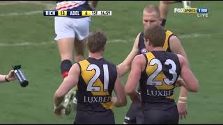 2010 AFL Round 18 Richmond Vs Adelaide [upl. by Nalo213]