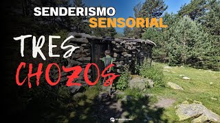 SIERRA DE GUADARRAMA ASMR NATURALEZA Senderismo Sensorial [upl. by Emelen]