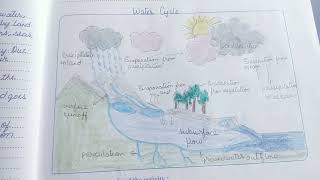 Class 9  Activity 1 Water Cycle Water Security [upl. by Brett479]