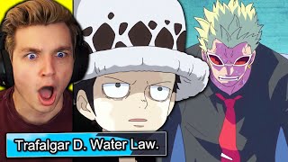 LAWS REAL NAME REVEALED one piece reaction [upl. by Indira]