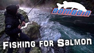 Chum Salmon fishing in BC [upl. by Donegan747]