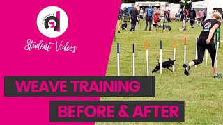 WEAVE POLE TRAINING Before amp after teaching dog agility weave polesslalom using the channel weaves [upl. by Kimber]