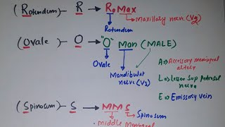 Mnemonic for Foramena Ovale  Structure passing throug it [upl. by Arnaud]