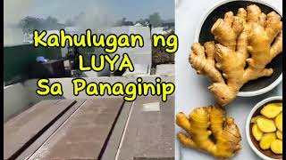 KAHULUGAN NG LUYA SA PANAGINIP [upl. by Kamat673]