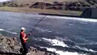 Sturgeon Fishing Lower Granite Dam [upl. by Bobby]