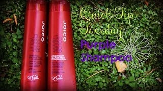 What Does Purple Shampoo Do How to Help Brassy Blonde Hair Quick Tip Tuesday [upl. by Tnilc]