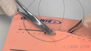 SIM SUTURE  5 Running Simple Sutures [upl. by Kristel]