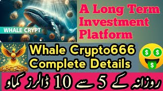 Unveiled The Reality Behind Whale Crypto Exchange [upl. by Acireed28]