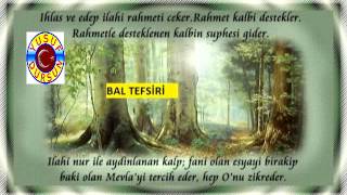 Bal Tefsiri [upl. by Belita]