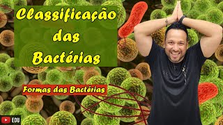 Classificação das Bactérias  Formas das Bactérias  Microbiologia  Reino Bacteria [upl. by Venice]