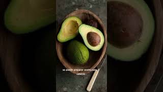 Propiedades del aguacate aguacate naturales natural saludables herbolaria [upl. by Yerrot]