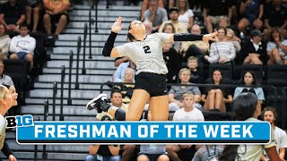 Chloe Chicoine Highlights  B1G Volleyball Freshman of the Year  Oct 24 2023 [upl. by Eisnil59]