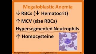 Folate amp B12 Deficiency Megaloblastic Anemia Hypersegmented Macrocytic Methylmalonic [upl. by Aikemet]